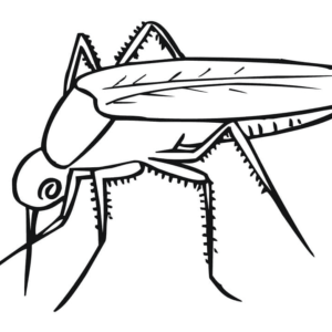 Mosquito coloring pages printable for free download