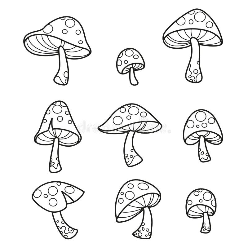 Mushrooms amanita coloring page stock illustrations â mushrooms amanita coloring page stock illustrations vectors clipart