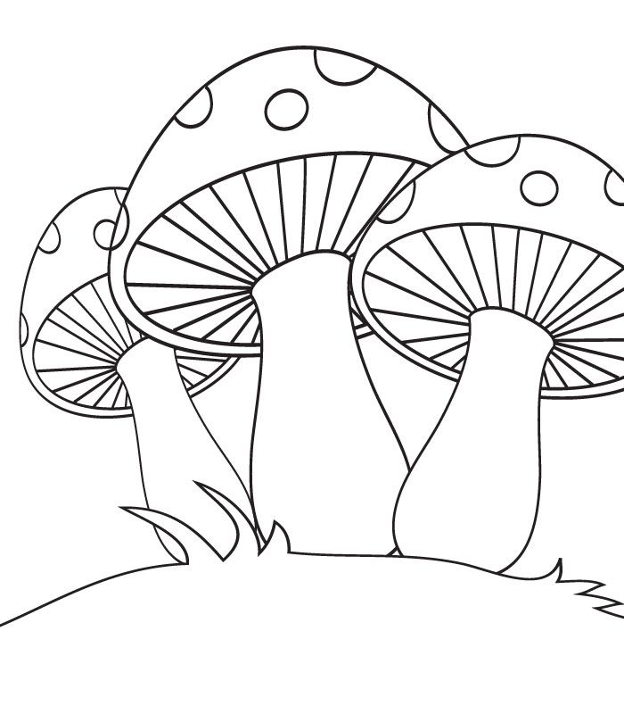 Coloring mushroom coloring books stuffed mushrooms adult coloring pages