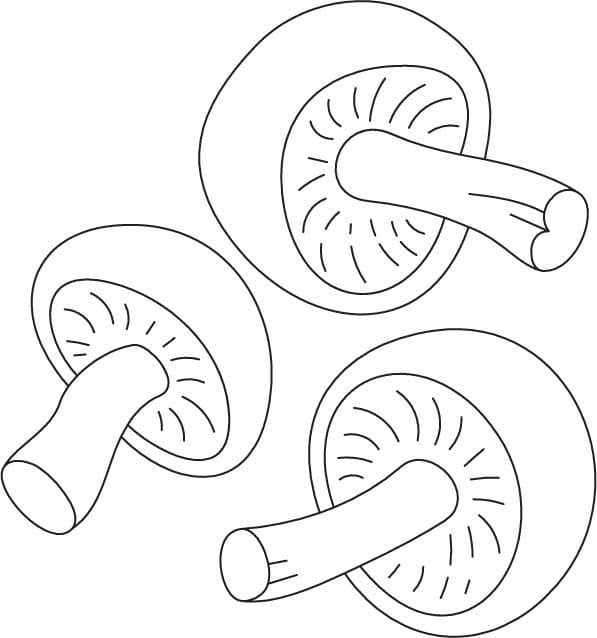 Simple mushrooms coloring page