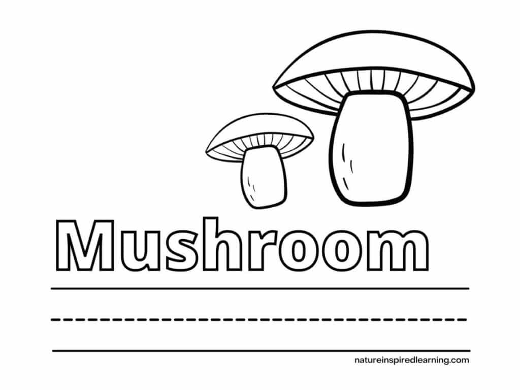 Realistic mushroom coloring pages