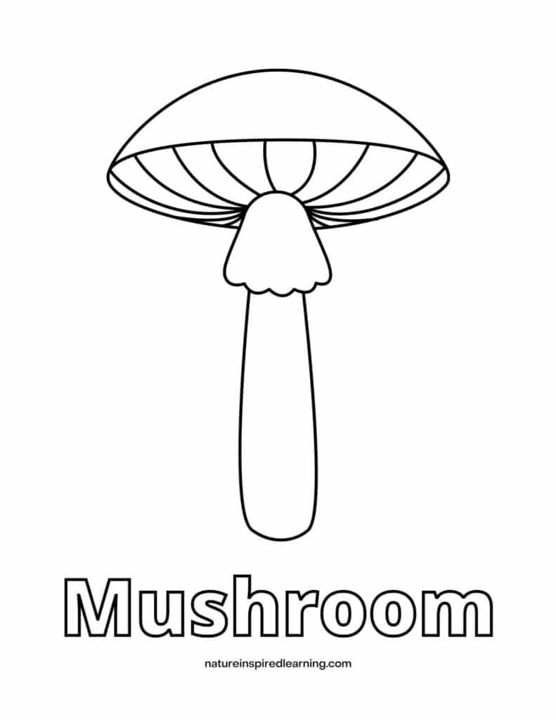 Realistic mushroom coloring pages