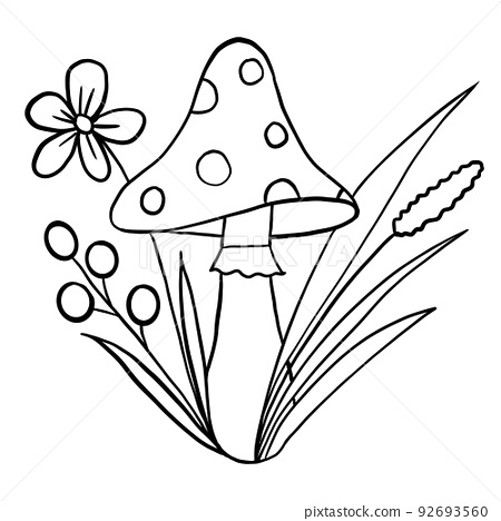 Hand drawn illsutration of cute fungi amanita