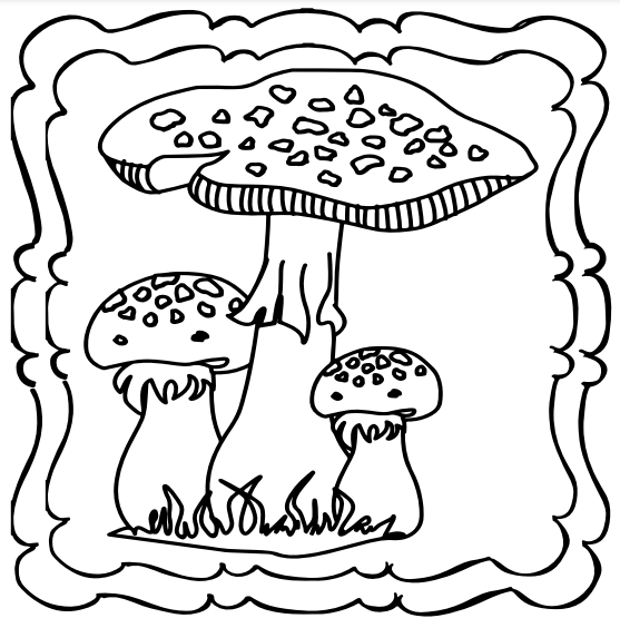 Mushroom coloring book a simple and enjoyable book for children made by teachers