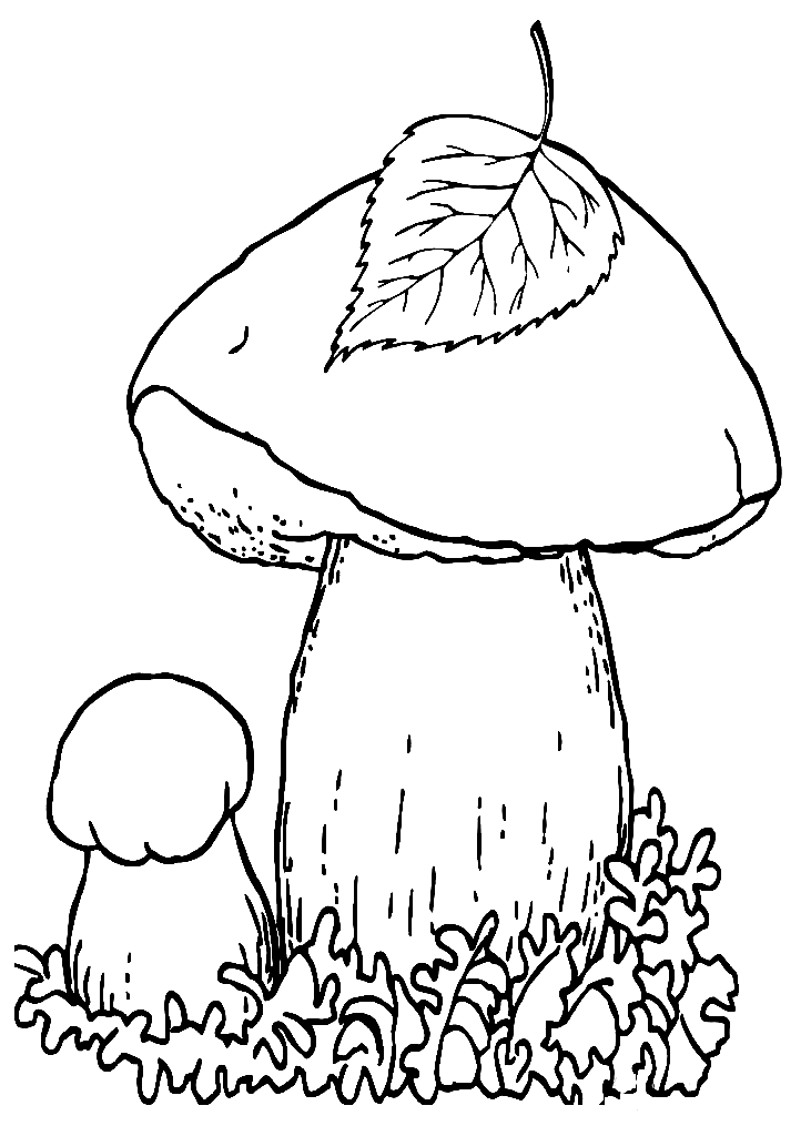 Mushroom coloring pages printable for free download