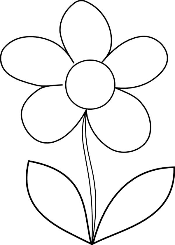 Printablecolouringpagescouk flower coloring pages flower drawing daisy flower drawing
