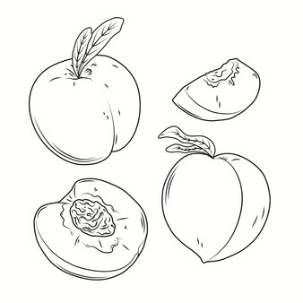 Page easy carambola fruit coloring pages images