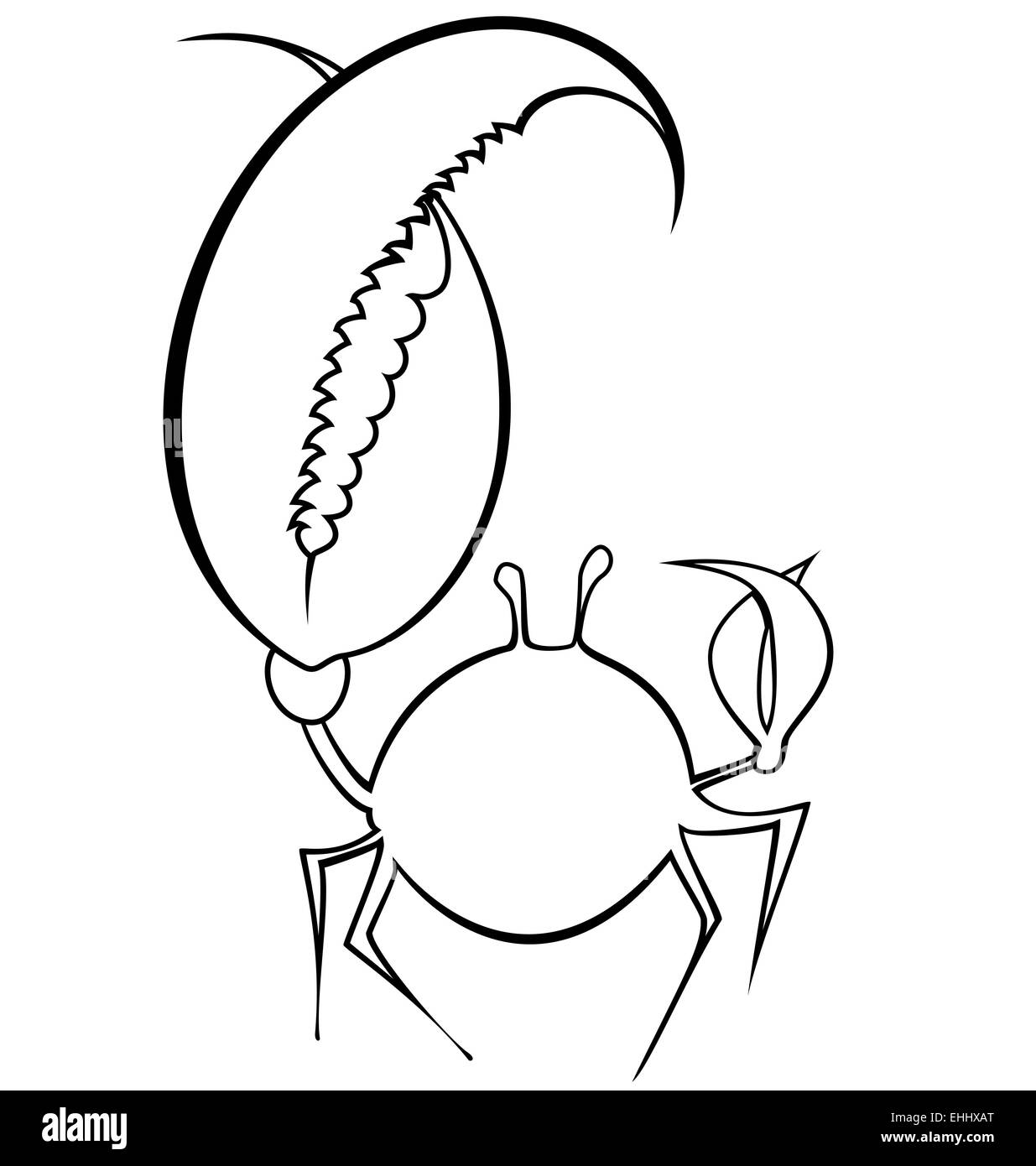 Black white drawing crab hi