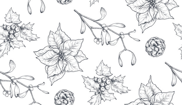 Poinsettia drawing images â browse photos vectors and video
