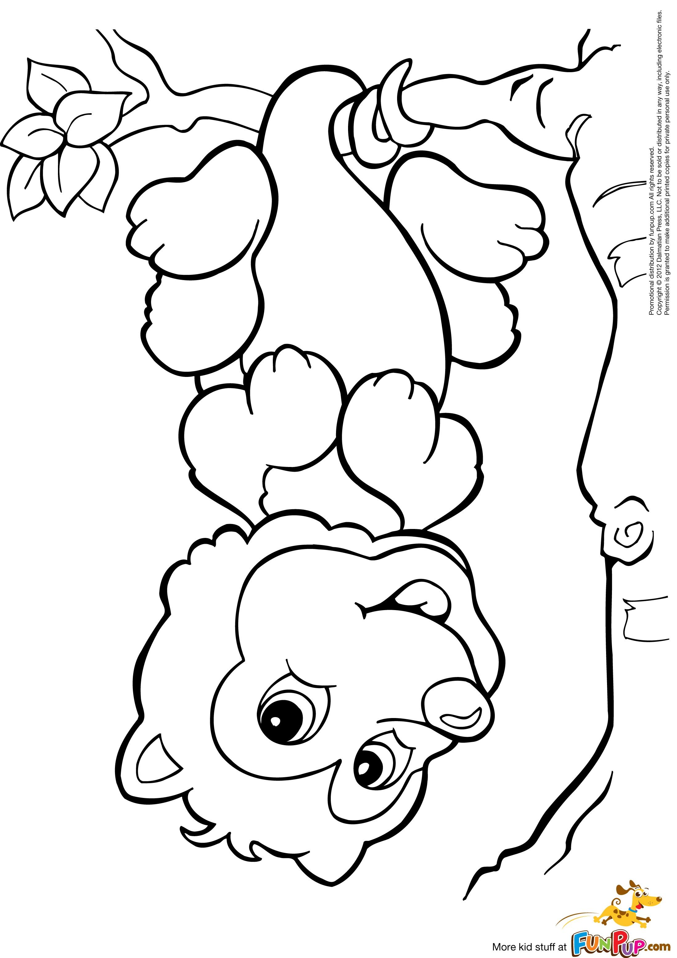 Possum coloring page animal coloring pages fox coloring page coloring pages