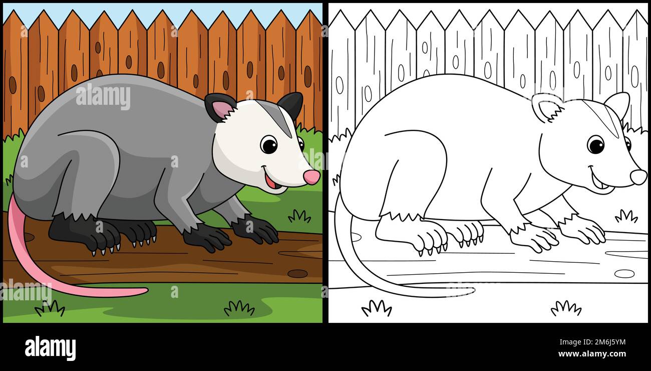 Possum cartoon line drawing vector horizontal black and white isolated stock vector image art
