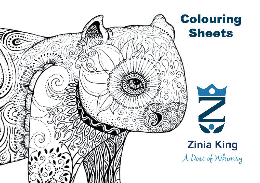 Printable australian animal colouring pages instant download pdf pages school holiday or lockdown activities