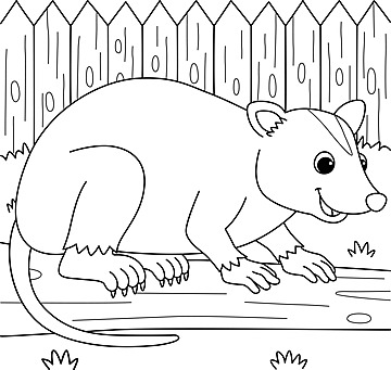 Opossum drawing png transparent images free download vector files