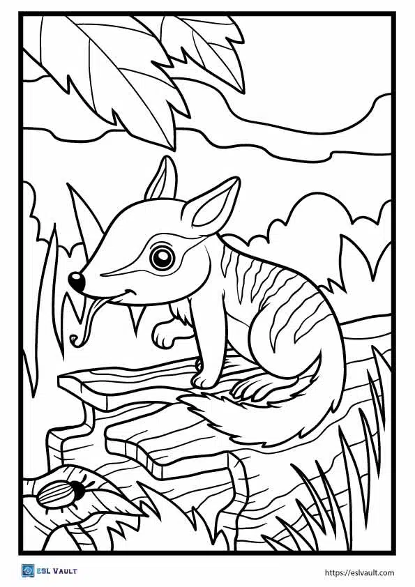 Free pdf australian animals coloring pages