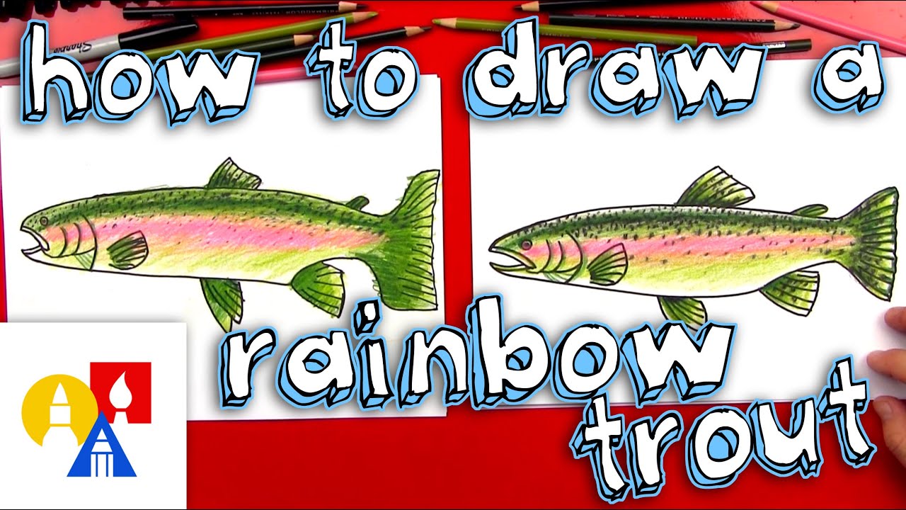 How to draw a rainbow trout