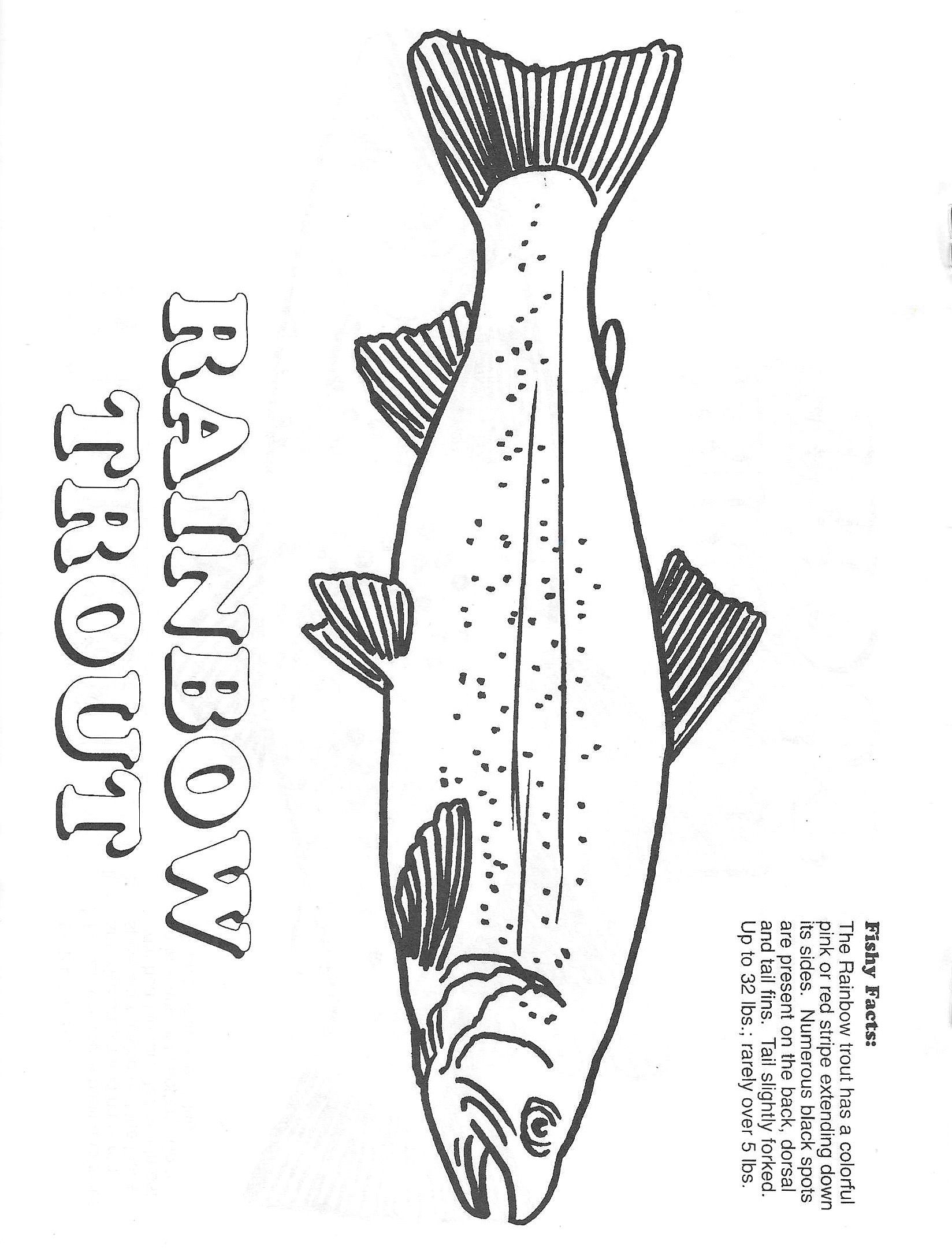 Arkansas game and fish rainbow trout in trout art fish coloring page rainbow trout