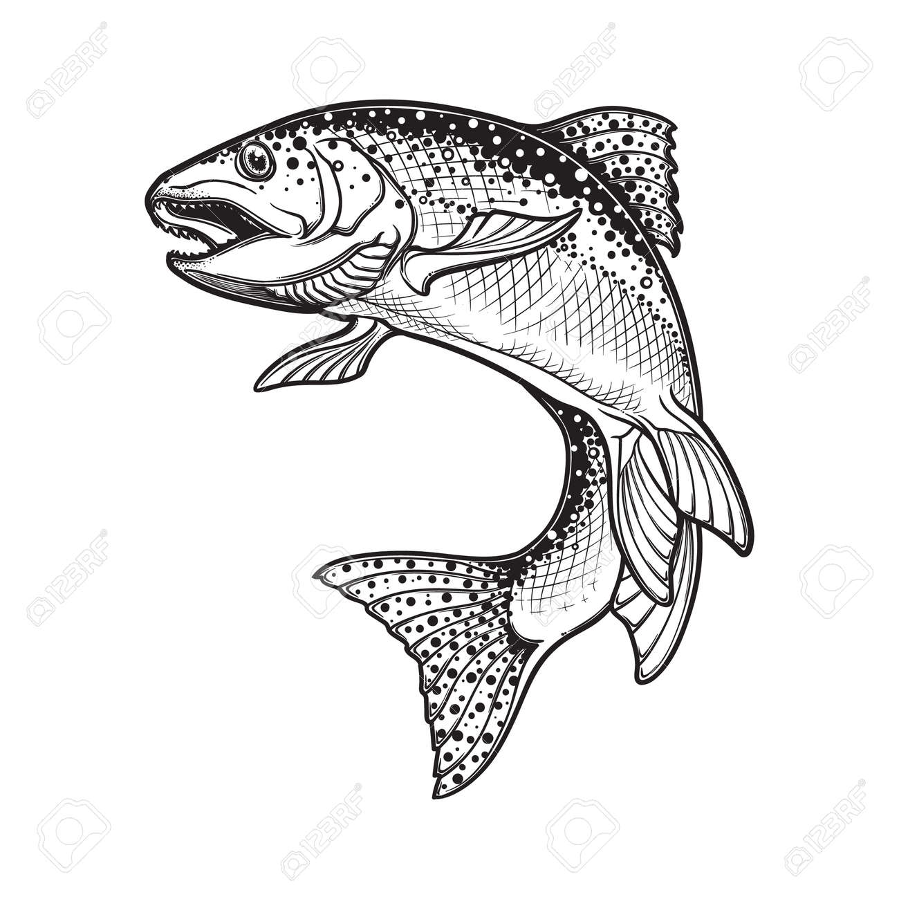 Realistic intricate drawing of the rainbow trout jumping out black and white sketch isolated on white background concept art for horoscope tattoo or colouring book eps vector illustration stock photo picture and