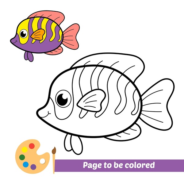 Thousand colored fish drawing royalty