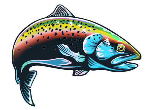Trout drawings images â browse photos vectors and video