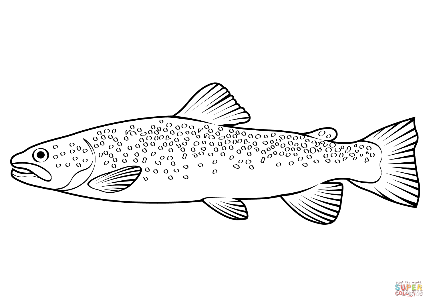 River trout salmo trutta fario coloring page free printable coloring pages