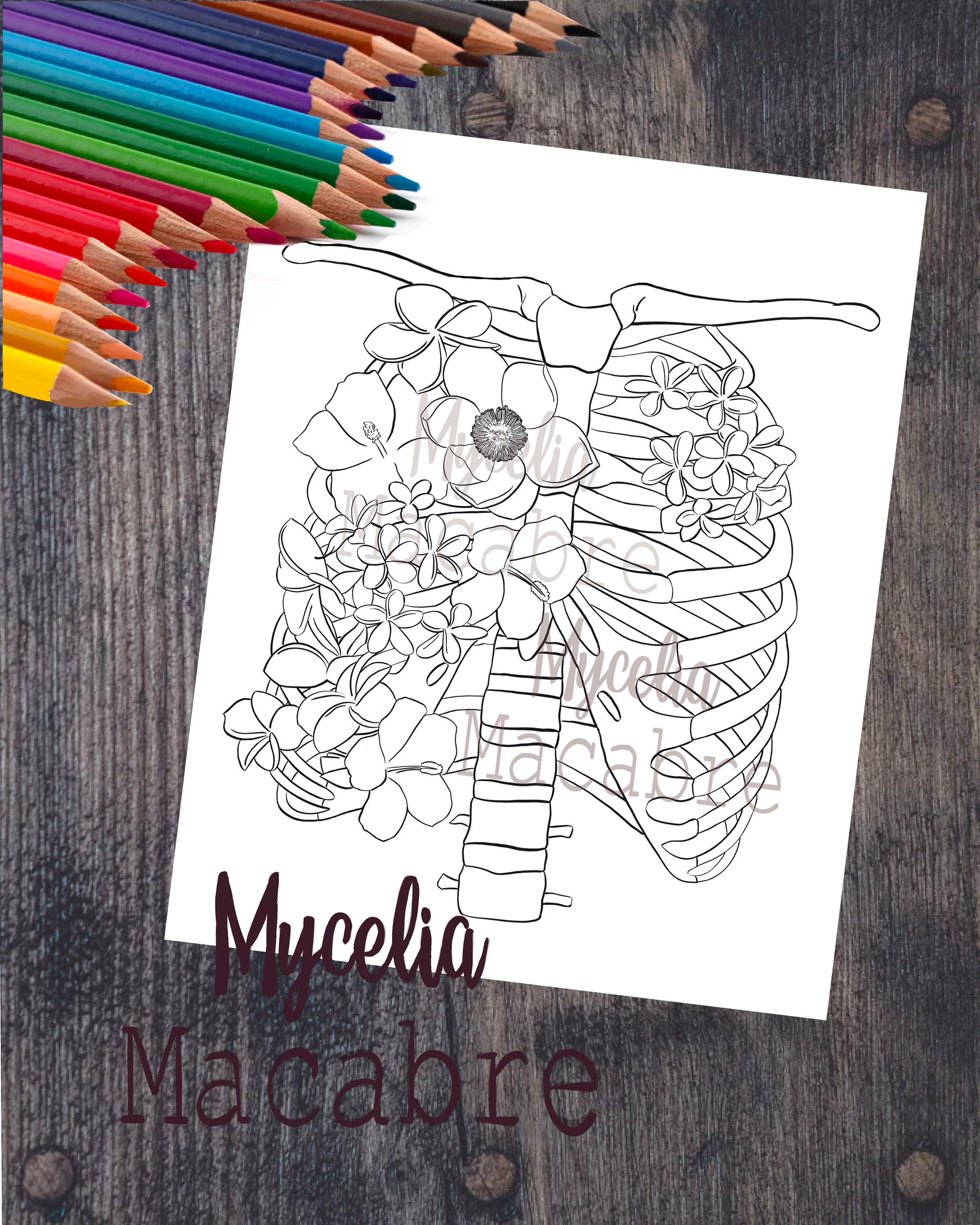 Human rib cage coloring page anatomical coloring page printable diy wall art anatomical art instant download