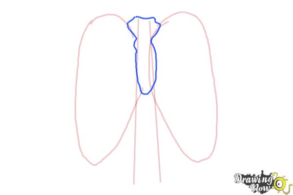 How to draw a rib cage