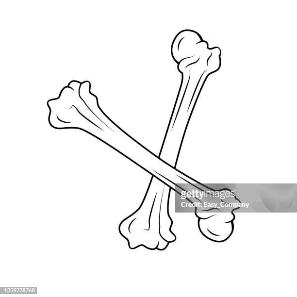 Skeleton rib cage cartoon high res illustrations