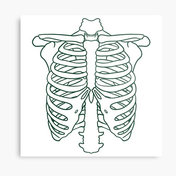 Rib cage metal prints for sale