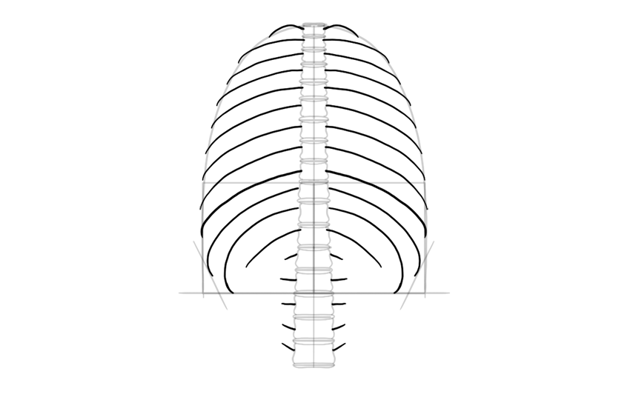 How to draw a skeleton step by step envato tuts