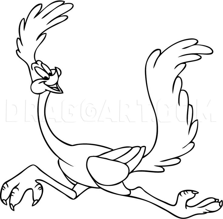 How to draw road runner step by step drawing guide by dawn cartoon coloring pages coloring pictures coloring pages