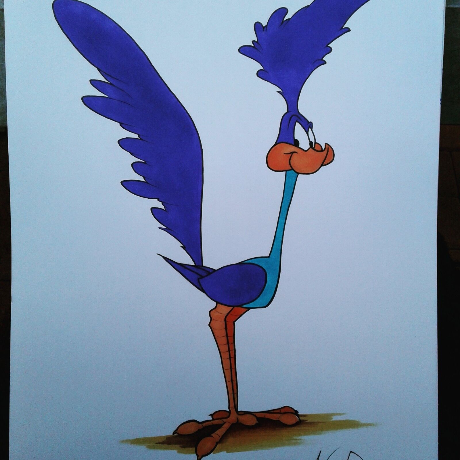 Roadrunner x color art print sketch drawing ic parrish warner bird wb