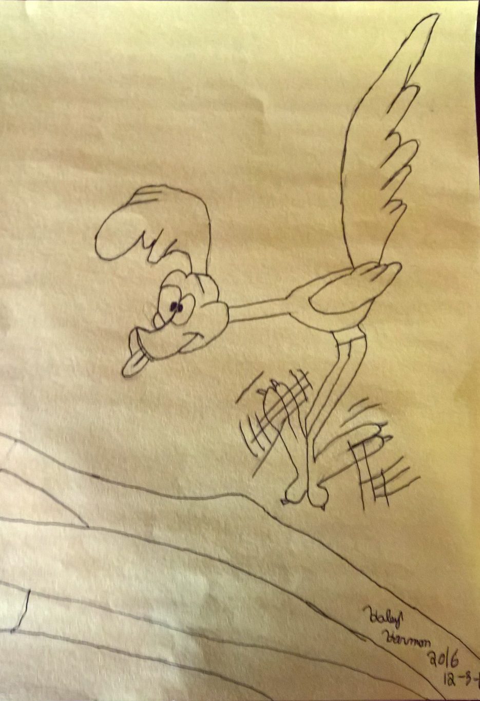 The roadrunner