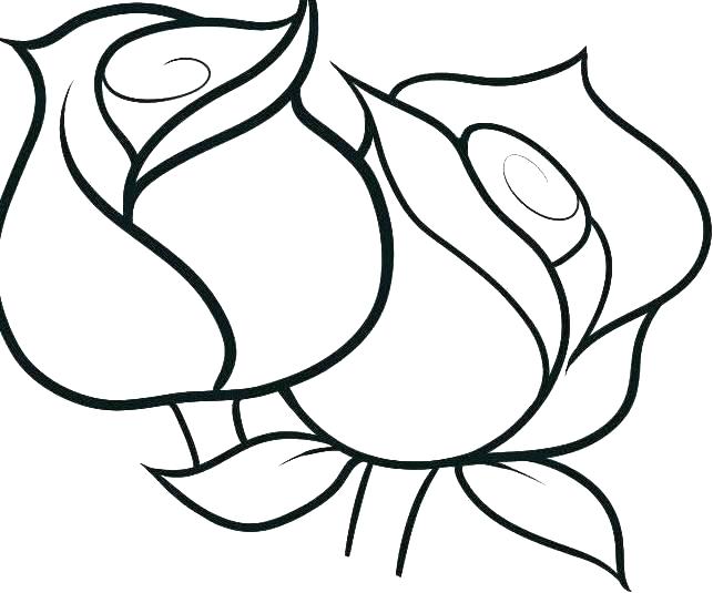 Coloring pages rose coloring pages