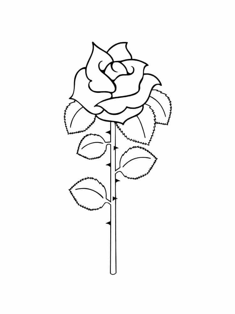 Simple rose coloring page