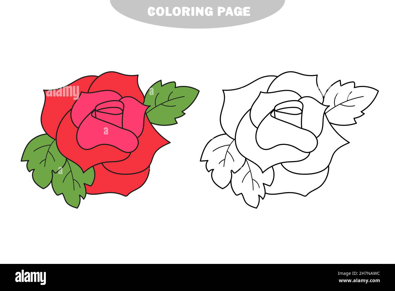 Simple coloring page black and white hand drawn illustration of roses coloring book page for children color and black and white version stock vector image art