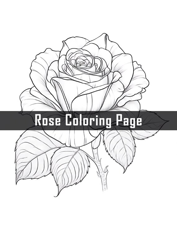Beautiful single rose coloring page