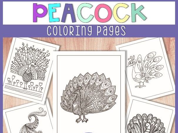 Peacock coloring pages a coloring book for kids with fun easy and relaxing pages teaching resources