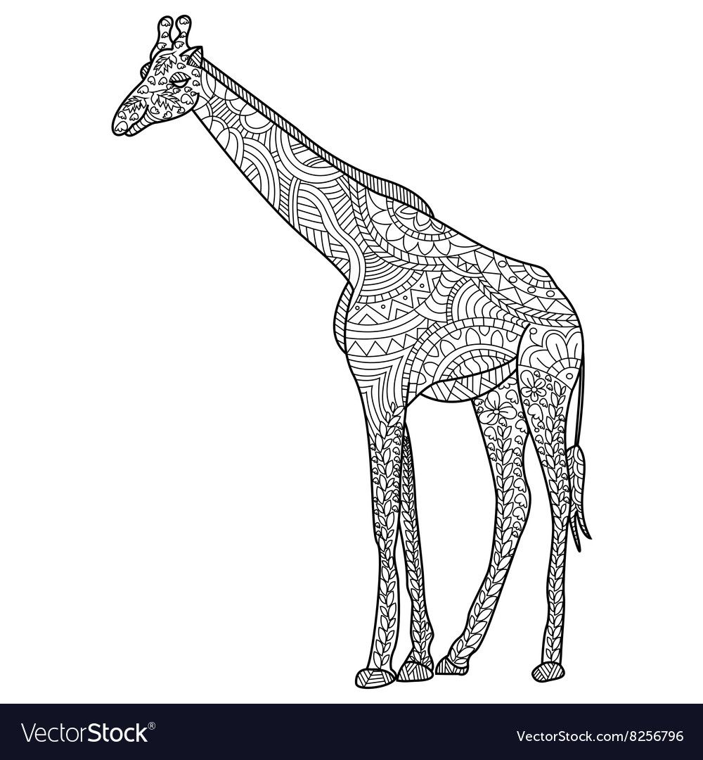 Giraffe coloring for adults vector image on vectorstock in giraffe coloring pages giraffe tattoos cartoon giraffe