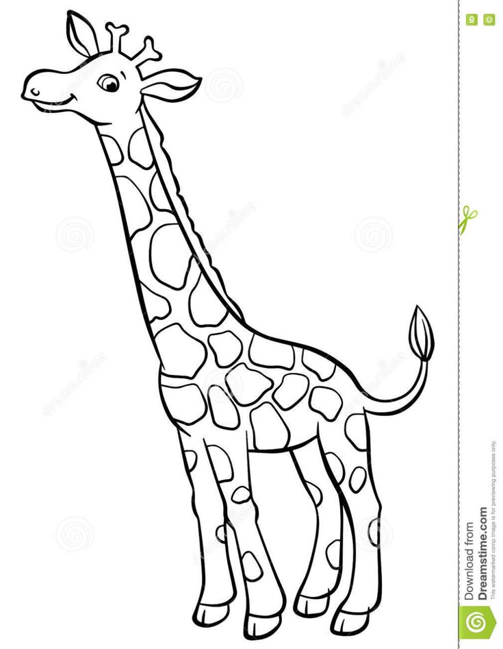 Illustration about coloring pages animals little cute giraffe stands and smiles illustration of â giraffe coloring pages giraffe drawing giraffe illustration