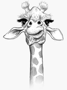 Sketch giraffe sticker for sale by jonthomson giraffe art animal drawings sketches animal drawings