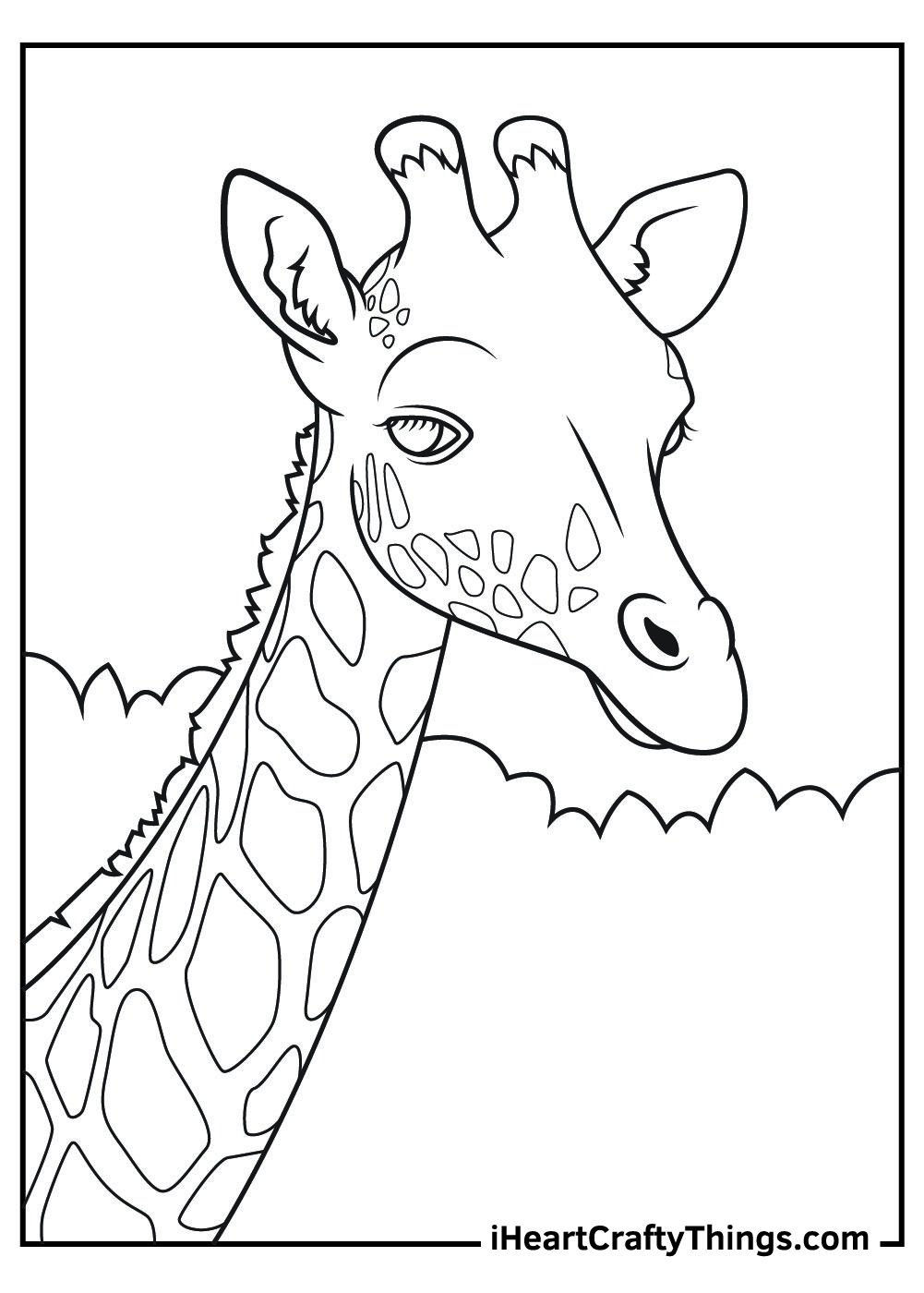 Realistic animal coloring pages animal coloring pages zoo coloring pages zebra coloring pages