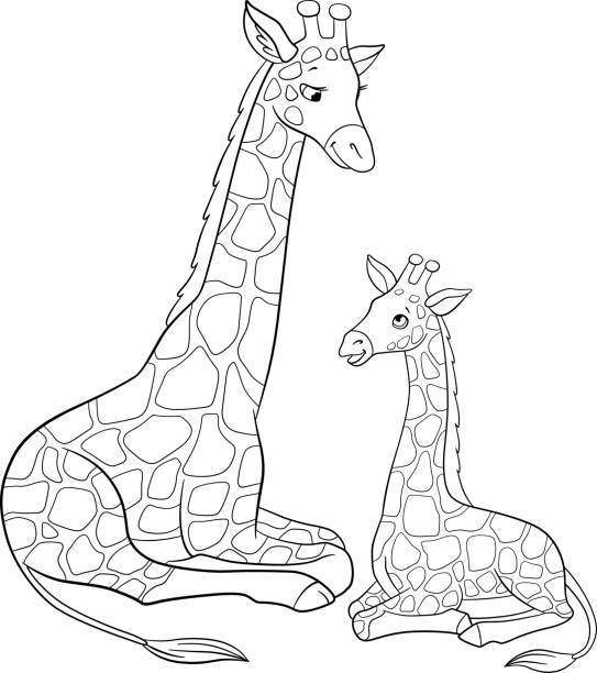 Coloring page mother giraffe with long neck lays with her little cute baby and smiles stock illustration