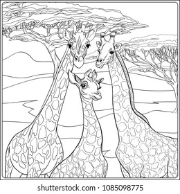 Giraffe colouring book stock photos and pictures