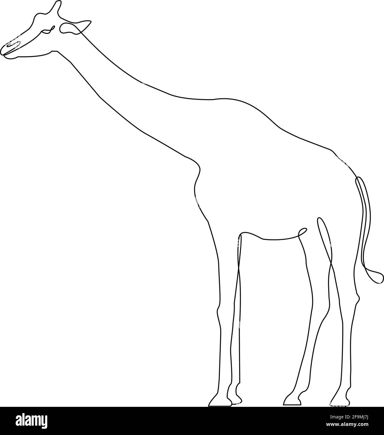 Giraffe tattoo hi