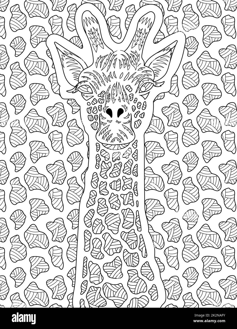 Image giraffe drawing hi