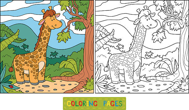 Giraffe coloring page pictures stock illustrations royalty