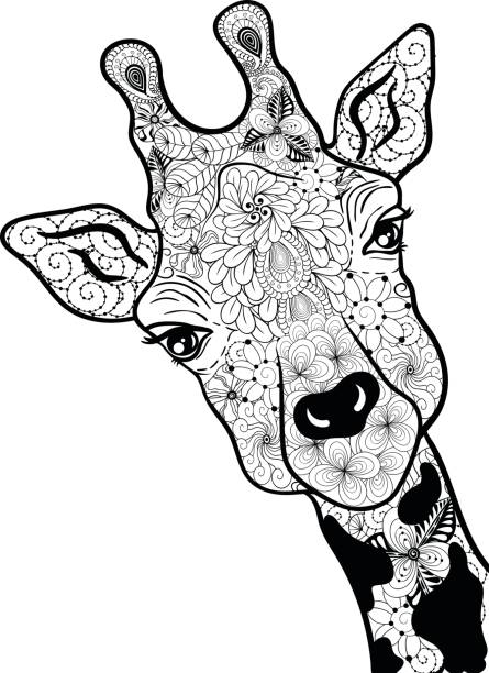 Giraffe coloring page stock illustrations royalty