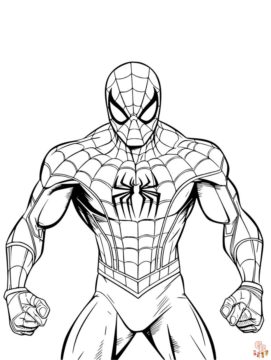 Explore our collection of printable spiderman coloring pages free