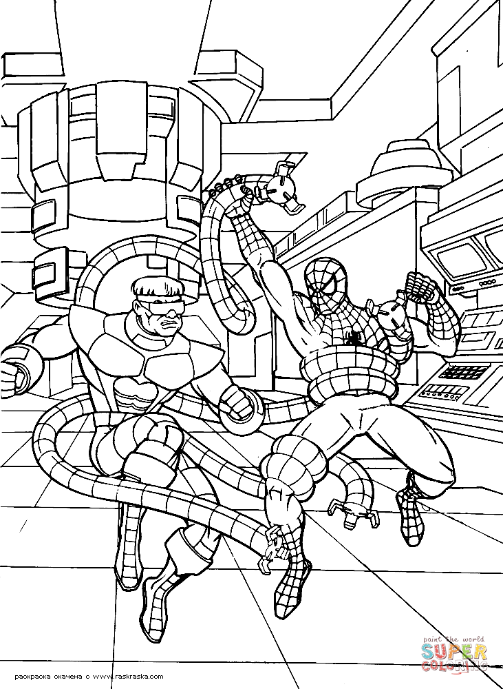 Brave spider