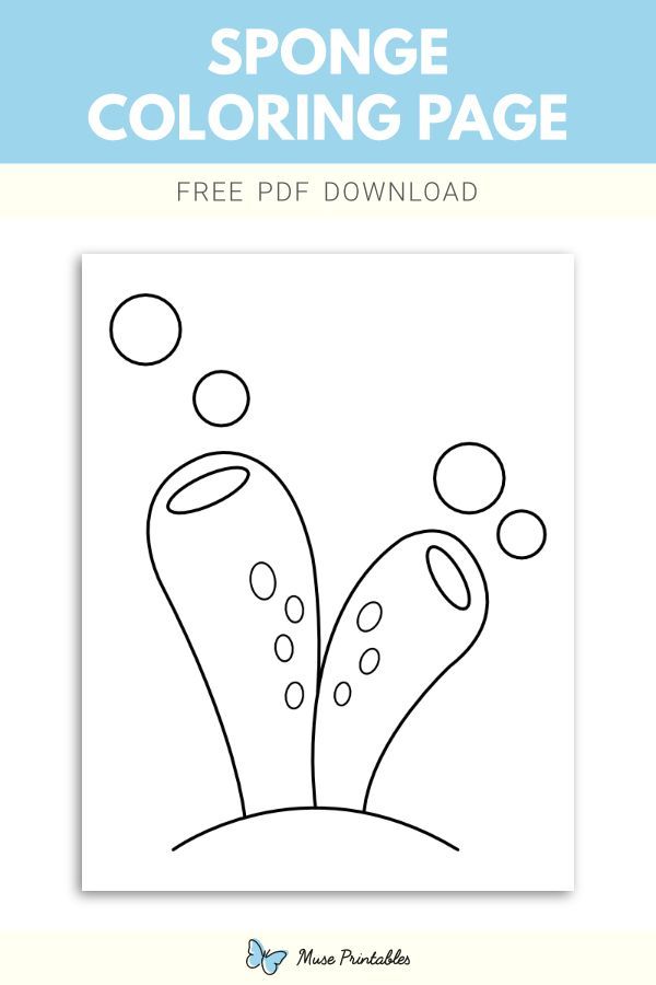 Free sponge coloring page coloring pages color sponge